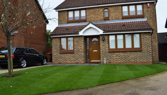 The Green, Very Green Grass of Home